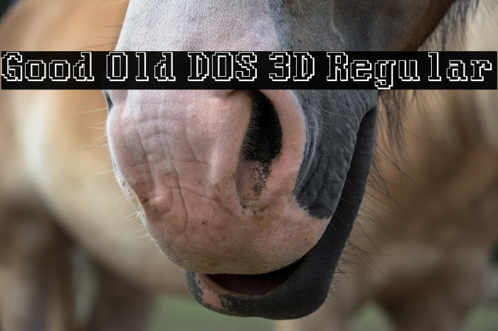 Good Old DOS 3D Regular Example 1