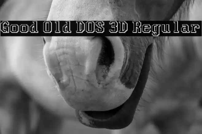 Good Old DOS 3D Regular Font examples
