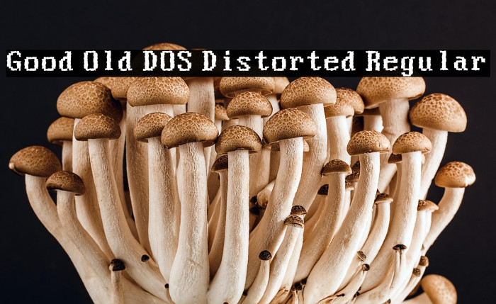 Good Old DOS Distorted Regular Example 1