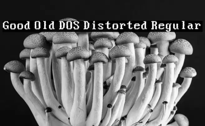 Good Old DOS Distorted Regular Fonte examples