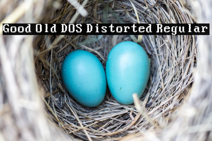 Good Old DOS Distorted Regular Example 3