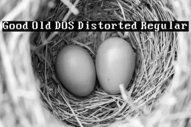 Good Old DOS Distorted Regular Fonte examples