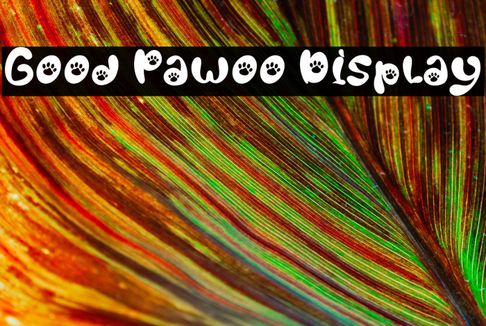 Good Pawoo Display Example 3