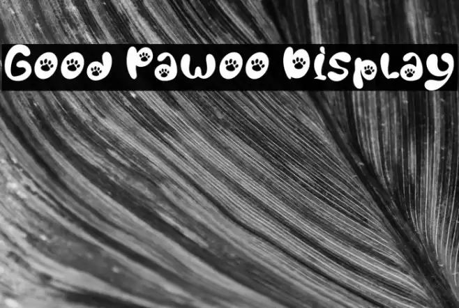 Good Pawoo Display خط examples