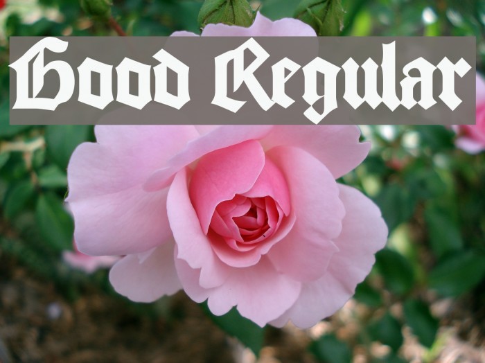 Good Regular Fonte examples