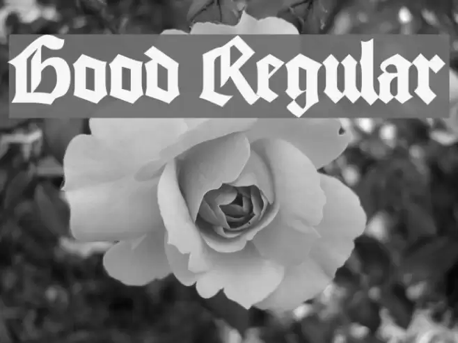 Good Regular Font examples