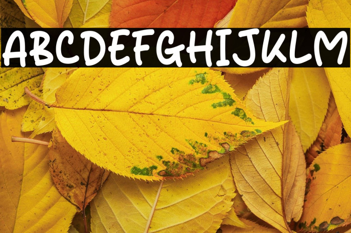 Good Slick Example 2