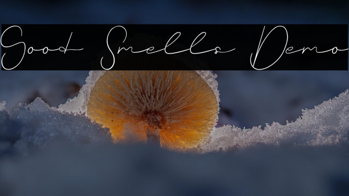 Good Smells Demo Example 2