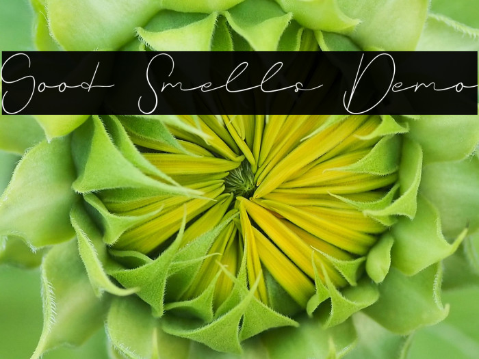 Good Smells Demo Example 3