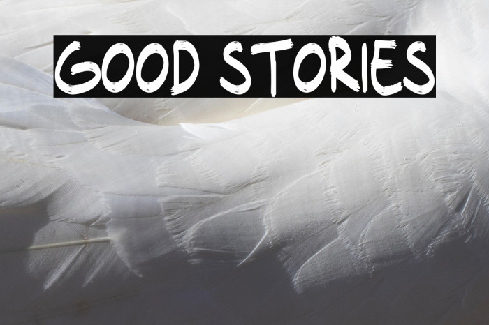 Good Stories Example 1