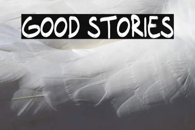 Good Stories Example 1