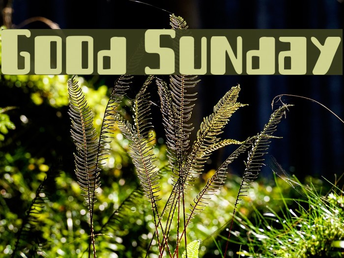 Good Sunday Font examples