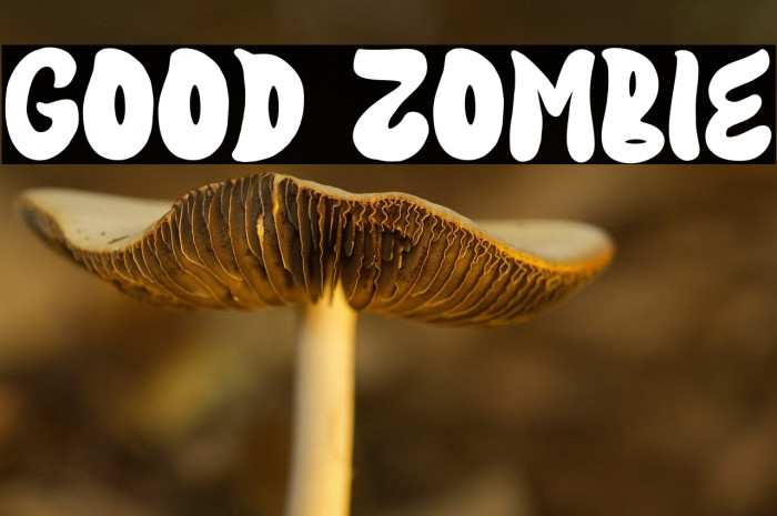 Good Zombie Example 3