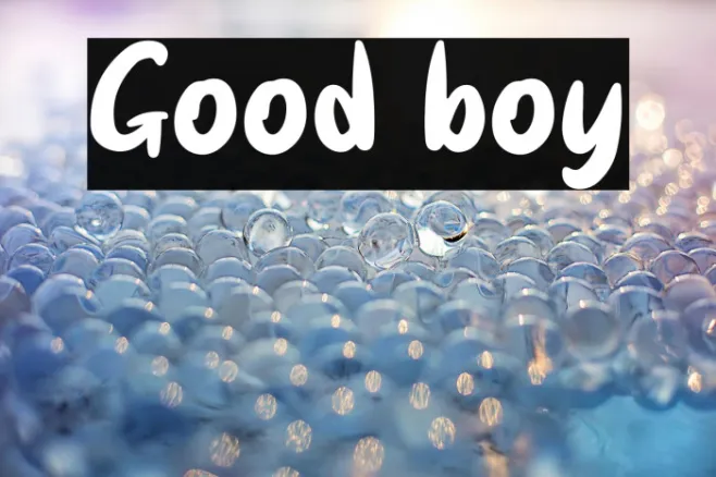 Good boy Example 2