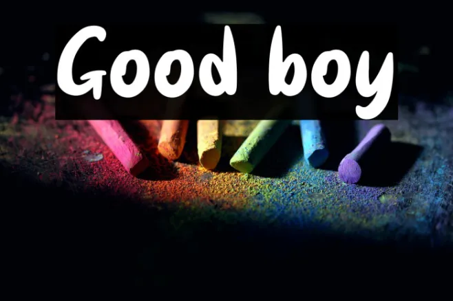 Good boy Example 3