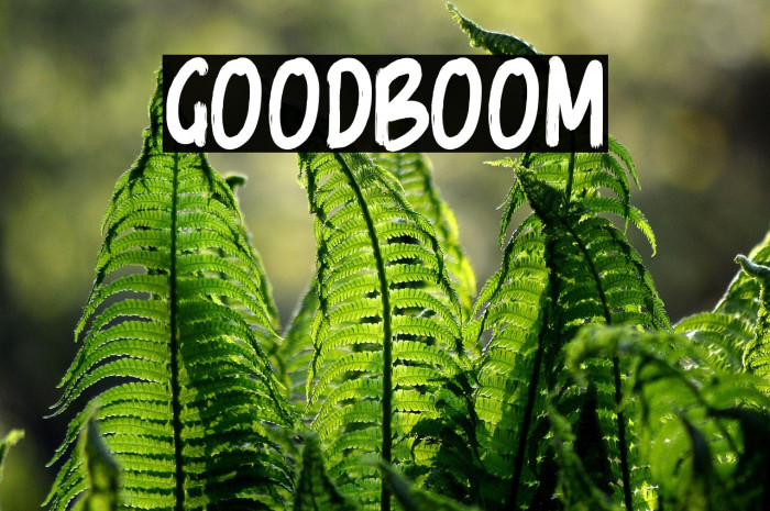 GoodBoom Example 1
