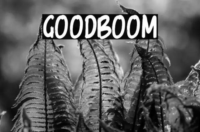 GoodBoom Font examples