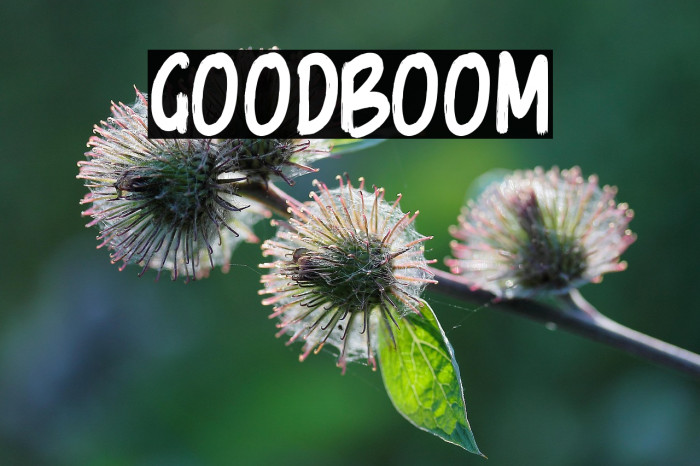 GoodBoom Example 3