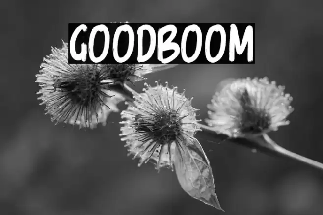 GoodBoom Font examples