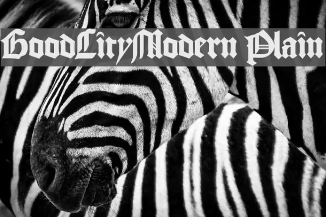 GoodCityModern Plain 字体 examples