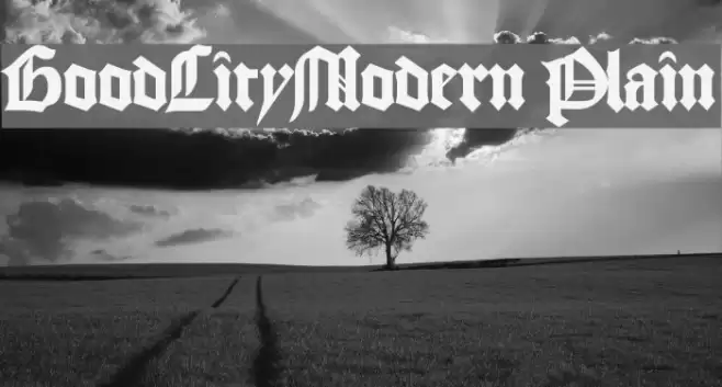 GoodCityModern Plain 字体 examples