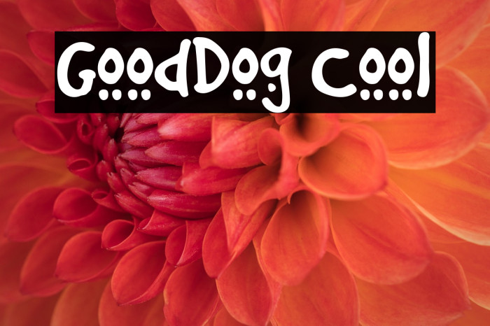 GoodDog Cool Example 2