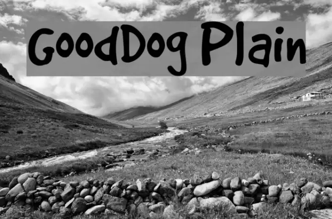 GoodDog Plain Fuentes examples