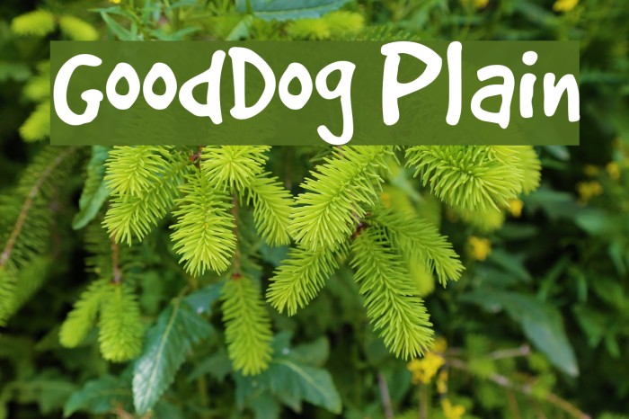 GoodDog Plain Font examples