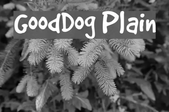 GoodDog Plain Fuentes examples