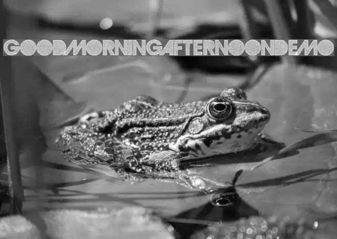 GoodMorningAfternoonDEMO フォント examples