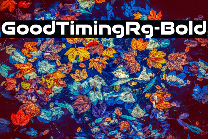 GoodTimingRg-Bold Example 1