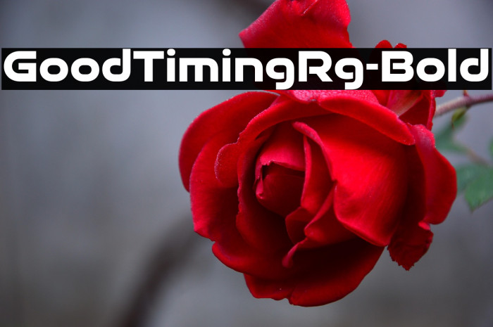 GoodTimingRg-Bold Example 3