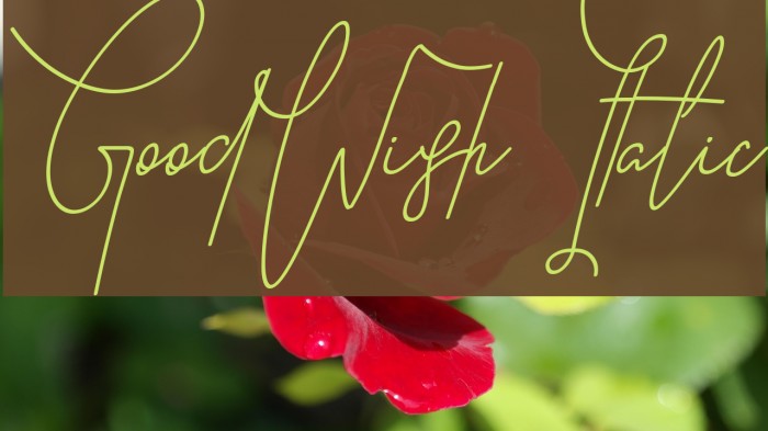 GoodWish Italic Font examples