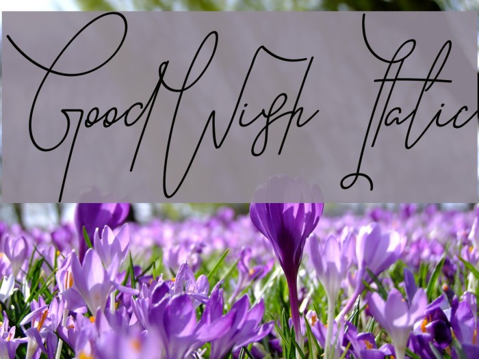 GoodWish Italic Font examples
