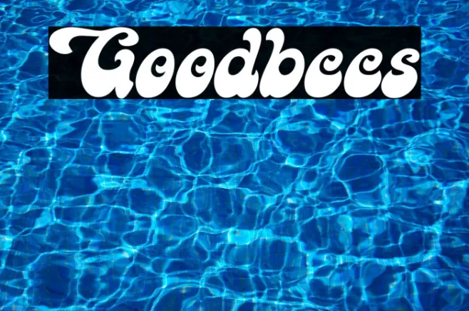 Goodbees Example 2
