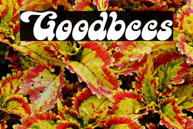Goodbees Example 3