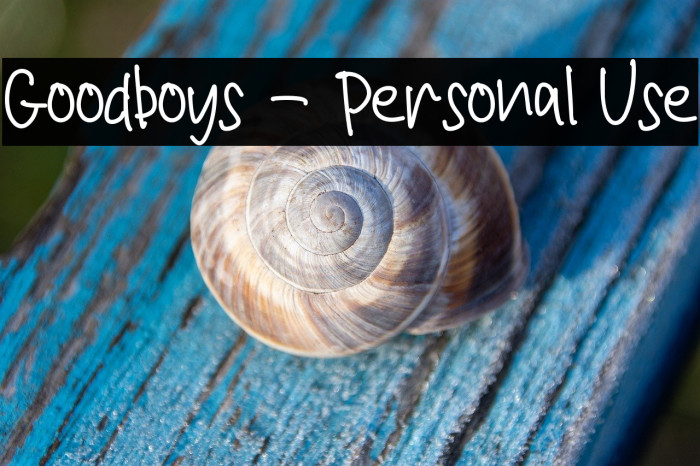 Goodboys - Personal Use Example 1