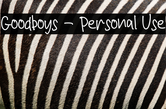 Goodboys - Personal Use Example 2