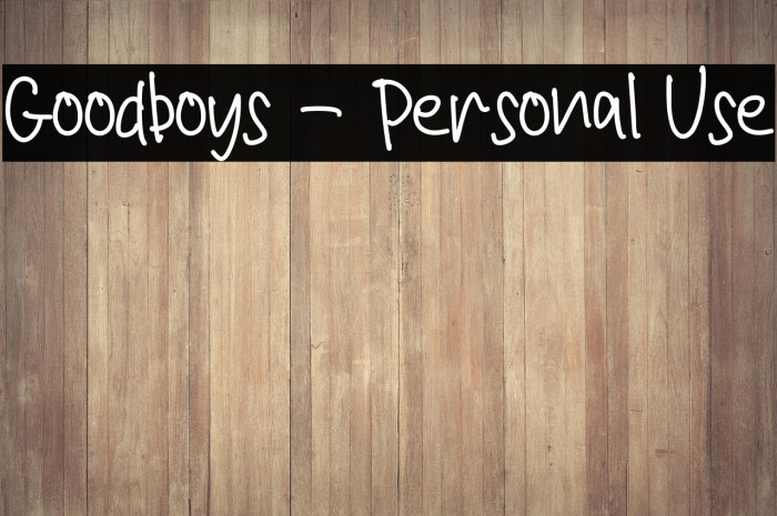 Goodboys - Personal Use Example 3