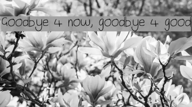 Goodbye 4 now, goodbye 4 good Font examples