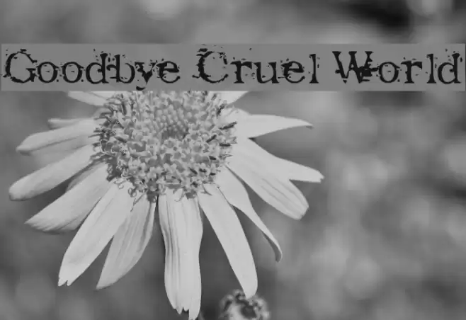 Goodbye Cruel World Fonte examples