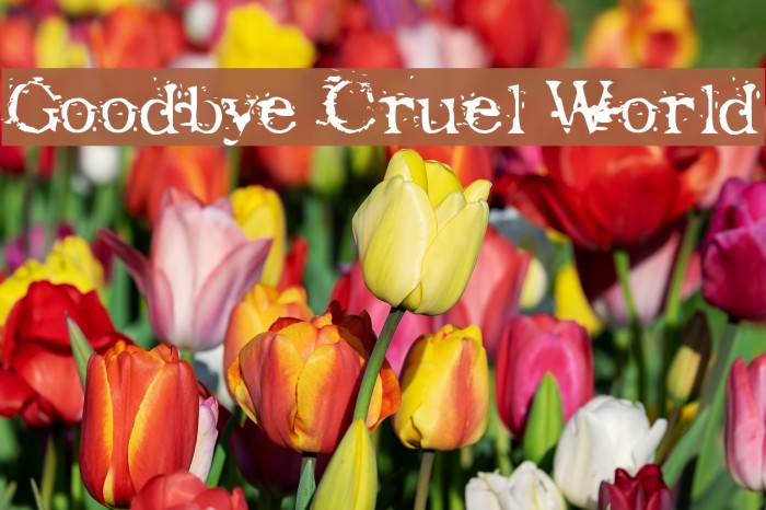 Goodbye Cruel World フォント examples