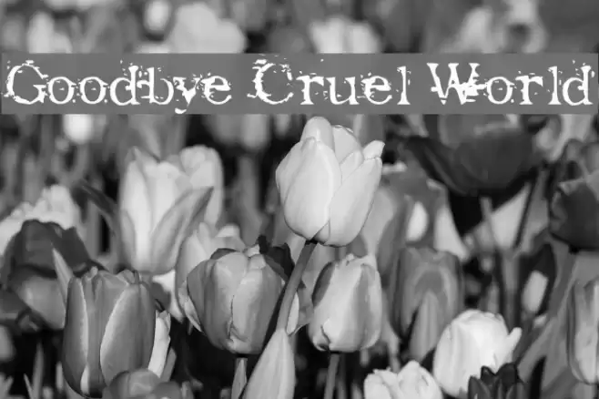 Goodbye Cruel World Fonte examples