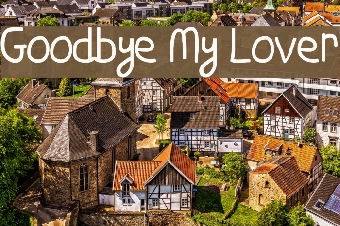 Goodbye My Lover Font examples