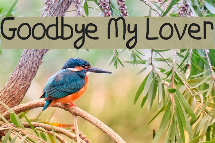 Goodbye My Lover Font examples