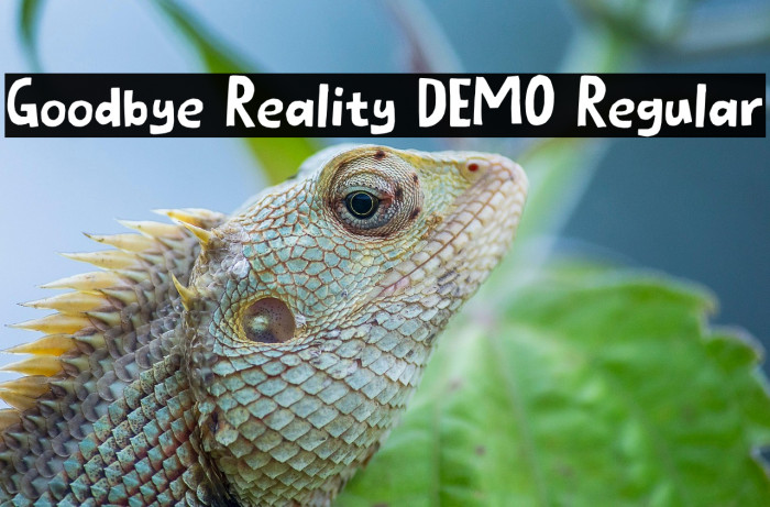 Goodbye Reality DEMO Regular Example 3