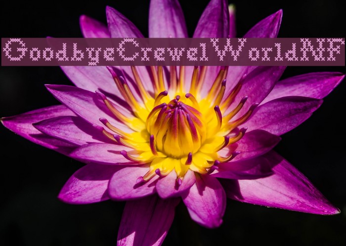 GoodbyeCrewelWorldNF Example 2