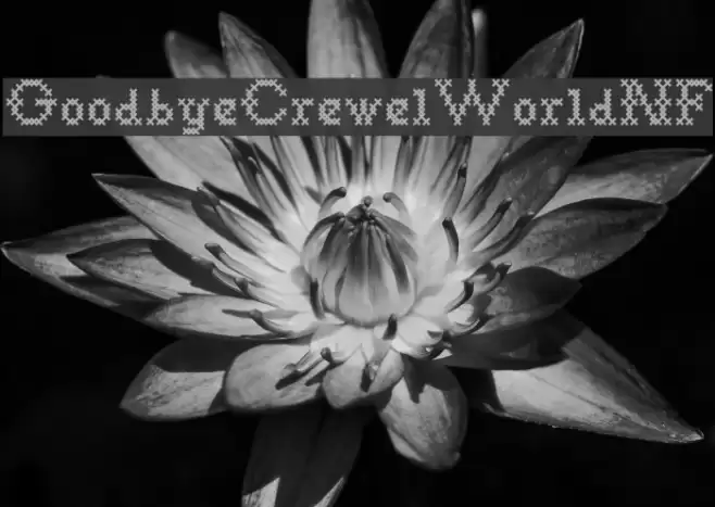 GoodbyeCrewelWorldNF Font examples