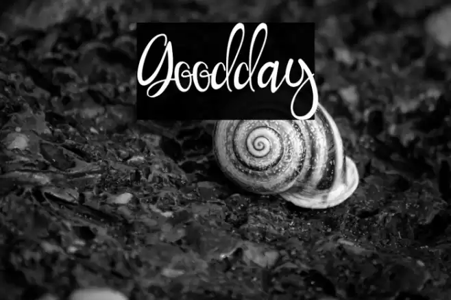 Goodday Font examples
