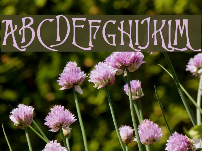 Goodfellow Font examples